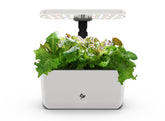 AeroGarden Harvest Lite frontal mostrando 6 plantas y estética crema