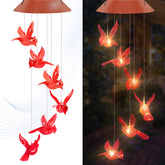 AIONASA cardenal frente colgado mostrando decoración y ambiente