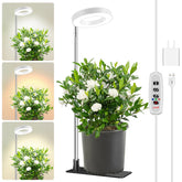Aokrean Halo vista frontal del producto con luz uniforme y diseño elegante