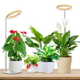 Aokrean Halo frontal mostrando diseño y estabilidad para plantas