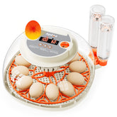 Apdoe incubadora frontal mostrando controles y capacidad 12 huevos, ideal para hobbistas