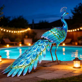 Autodaya vista frontal del pavo real mostrando color y presencia