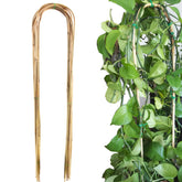 Avalution frente del paquete de 10 U-Hoops mostrando aspecto natural y cantidad
