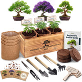 AVERGO packaging frontal del kit con componentes visibles, ideal para regalo