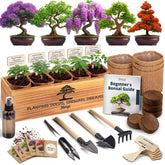 AVERGO empaque frontal del kit con contenido visible y ventaja todo incluido