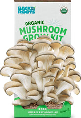 Back to the Roots caja frontal mostrando el kit listo para cultivar y su beneficio educativo