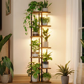 Bamworld vista frontal del expositor con luces, organiza muchas plantas eficientemente