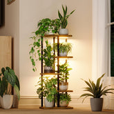 Bamworld soporte frontal con luces muestra almacenamiento vertical y salud de plantas