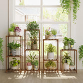 Bamworld soporte frontal mostrando forma y capacidad de exhibir plantas