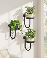 Bamworld soporte frontal mostrando estabilidad y estilo