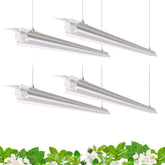 Barrina visión frontal del pack de 4 barras 4FT, iluminación uniforme