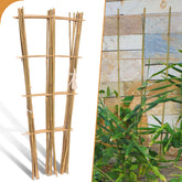 Biotolot enrejado frontal paquete mostrando diseño abanico y soporte