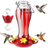 Birdream comedero frontal de cristal mostrando forma y capacidad