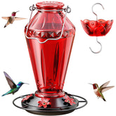 Birdream frente y empaque listo para regalo mostrando caja y tarjeta