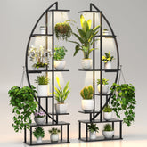 BLAZPATH estantería media luna frontal mostrando plantas y organización