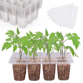 Bonviee vista frontal del pack que muestra bandejas claras y ordenadas para germinar
