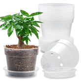 BTPLASTIK maceta frontal 7 pulgadas clara, vista completa y protección
