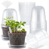 BTPLASTIK maceta frontal pack 15 mostrando transparencia y utilidad