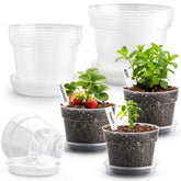 BTPLASTIK pack frontal de macetas transparentes muestra variedad y ahorro