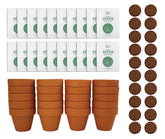 BUZZY vista frontal de mini maceta de terracota lista para sembrar, aporta decoración práctica