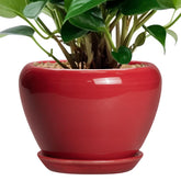 Ceramicfor vista frontal de maceta roja mostrando diseño moderno y acabado elegante