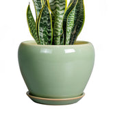 Ceramicfor maceta frontal verde mostrando diseño elegante y estabilidad