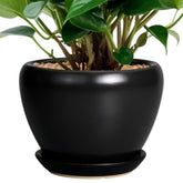 Ceramicfor maceta vista frontal, elegante y fácil de combinar