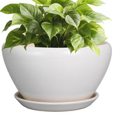 Ceramicfor maceta frontal blanca mostrando diseño moderno y acabado elegante