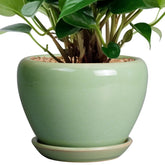 Ceramicfor maceta frontal verde mostrando diseño moderno y acabado