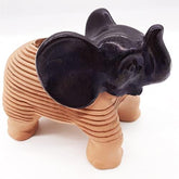 Chia Elephant primer plano de las semillas Chia listas para sembrar y facilitar germinación