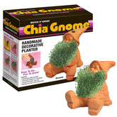 Chia gnomo vista frontal mostrando cerámica decorativa y crecimiento rápido