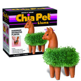 Chia maceta Llama frontal de cerámica mostrando diseño y potencial decorativo
