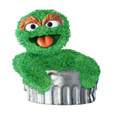 Chia Oscar frontal mostrando maceta decorativa Chia y fácil plantación