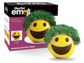 Chia Smiley frente mostrando la maceta de terracota y el diseño alegre