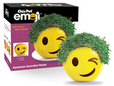 Chia Winky frontal mostrando diseño y beneficio decorativo