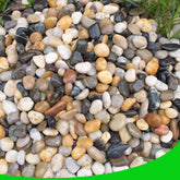 CJGQ empaque frontal de piedras de río, presentación compacta y profesional