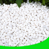 CJGQ empaque frontal de piedras blancas mostrando 18 lb y beneficio estético