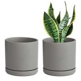 D'vine Dev maceta frontal mostrando diseño minimalista y acabado gris elegante