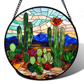 DASTOLL cactus vista frontal mostrando colores vivos y decoración