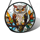 DASTOLL panel frontal con búho mostrando colores vivos