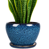 Deep Dream vista frontal de maceta azul pavo real, diseño elegante y decorativo