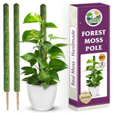 DUSPRO poste de musgo frontal mostrando soporte natural y aspecto verde