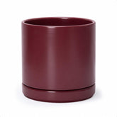 D'vine Dev maceta frontal Cordovan con aspecto elegante y compacto