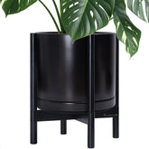 D'vine Dev maceta frontal negra que realza la planta y la decoración