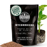 DYNOMYCO empaque frontal mostrando 100 g y marca, fácil identificación