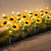 EDOF empaque frontal del pack de 4 girasoles muestra contenido y beneficio decorativo