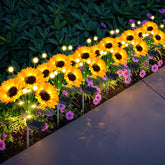 EDOF girasol frontal paquete mostrando seis flores y efecto decorativo