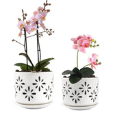 EFISPSS maceta de orquídea vista frontal, estética y ventilación mejorada