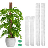 EOX poste mosgo pack frontal mostrando las cuatro piezas y beneficios de soporte