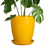 EPFamily maceta cerámica frontal mostrando color amarillo y diseño decorativo